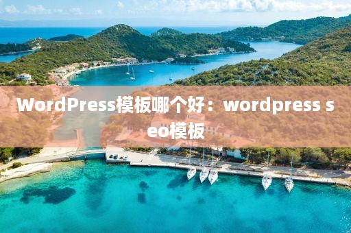 WordPress模板哪个好：wordpress seo模板